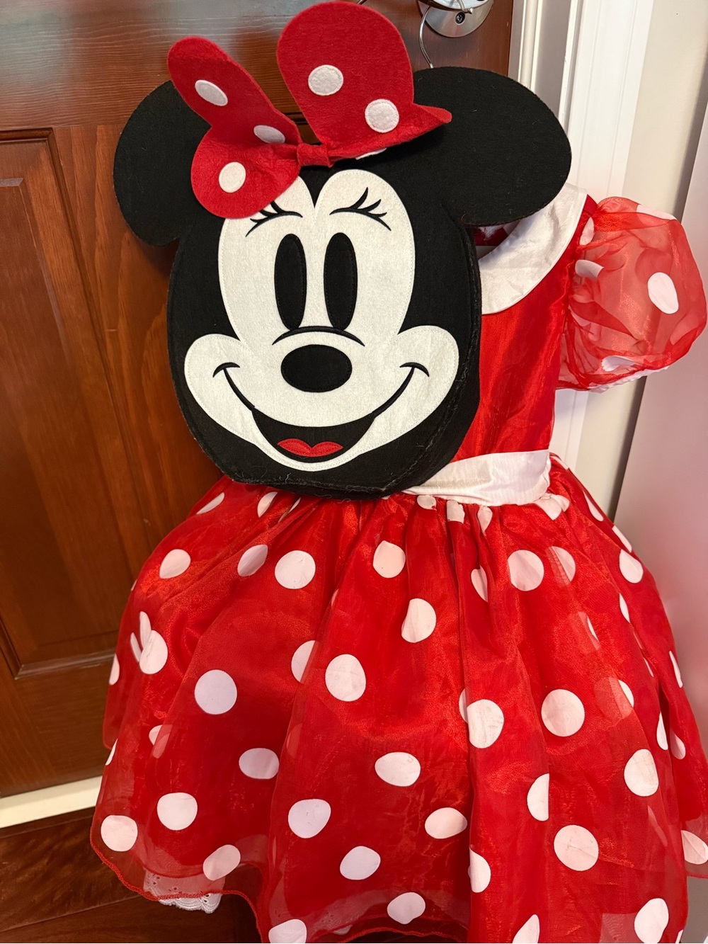 Pottery Barn Kids Minnie Mouse Costume Great Condition - Picture 4 of 7